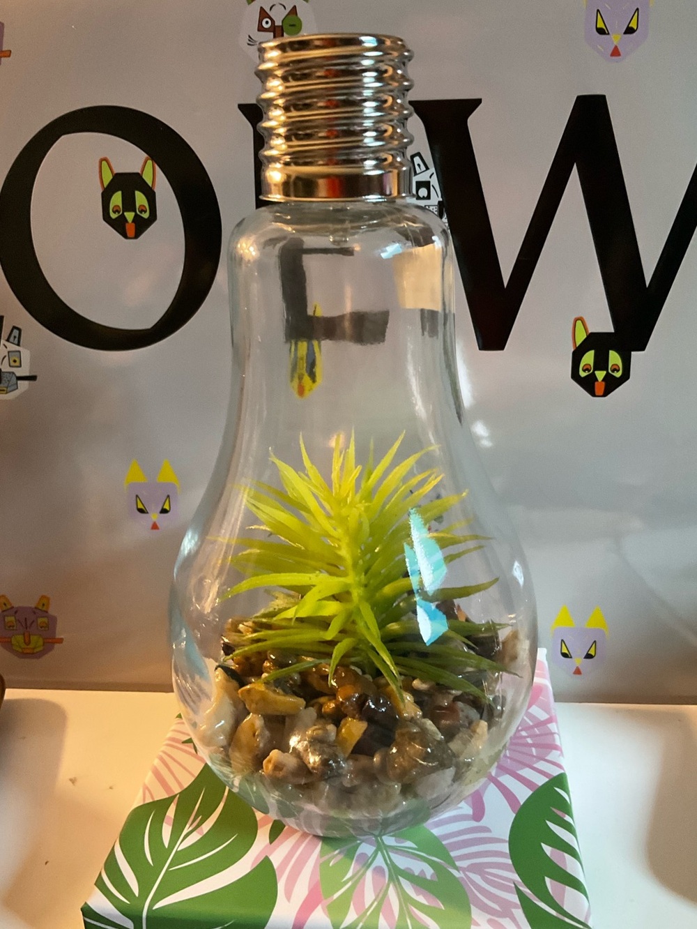 Solar Powered Glass Bulb Terrarium with Faux Succulent - Clear - Picture 4 of 6
